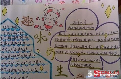 仿生学小学生手抄报 小学生手抄报