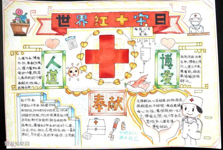 5.8红十字主题的手抄报 红十字手抄报