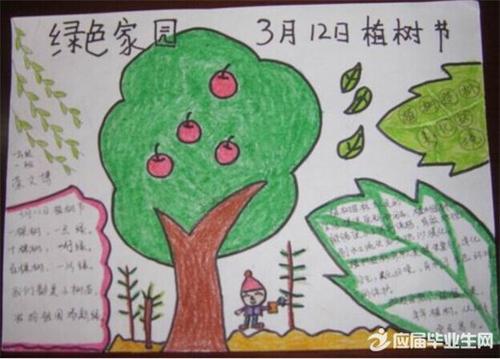 小学生手抄报植树节 小学生手抄报植树节图片大全 