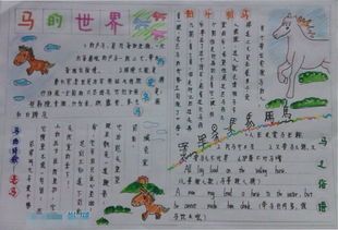 小学生关于马的手抄报 小学生手抄报