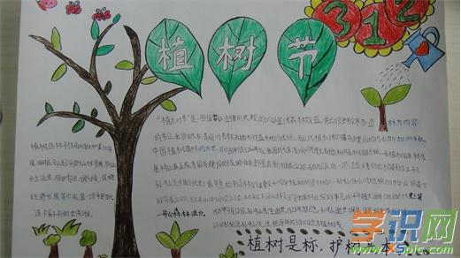 小学生手抄报植树节 小学生手抄报植树节图片大全 