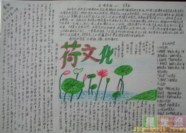 关于莲的中学生手抄报 中学生手抄报