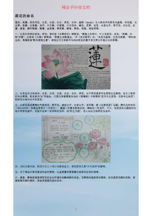 关于莲的中学生手抄报 中学生手抄报