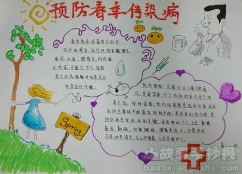 小学生流感预防手抄报 预防禽流感手抄报