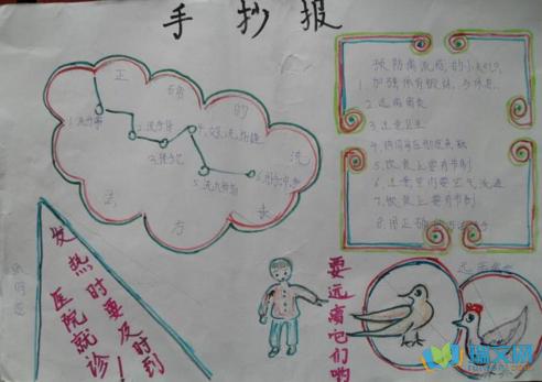 小学生流感预防手抄报 预防禽流感手抄报