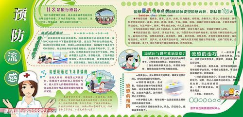 h1n1甲流手抄报 手抄报模板大全