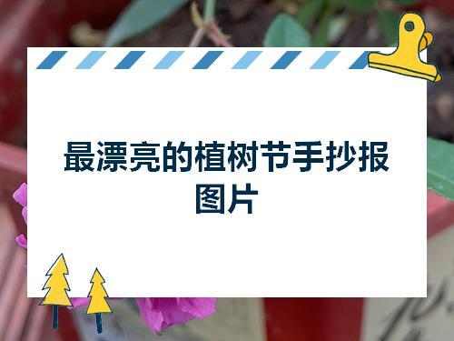 植树节手抄报大全一等奖 植树节手抄报图片 