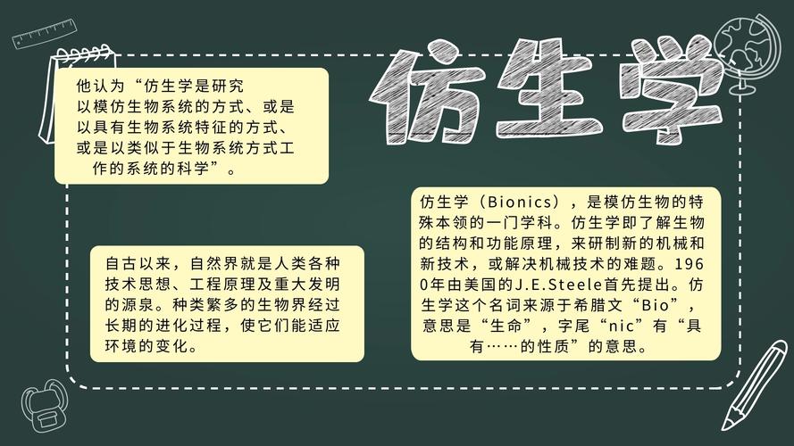 查一下仿生学手抄报 手抄报简单又好看