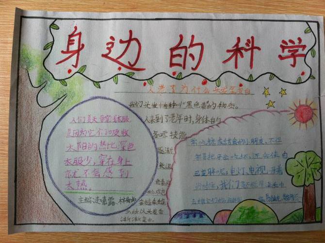 二年级学生简单科学的手抄报 小学生简单手抄报