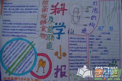 二年级学生简单科学的手抄报 小学生简单手抄报