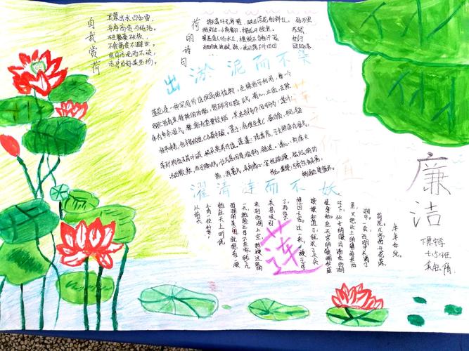 小学生莲韵幽芳手抄报 小学生手抄报