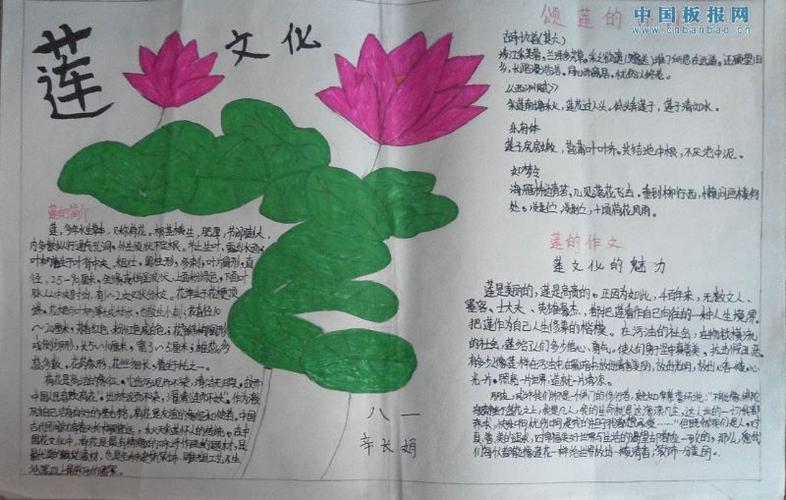 小学生莲韵幽芳手抄报 小学生手抄报