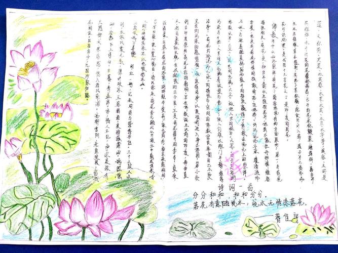 小学生莲韵幽芳手抄报 小学生手抄报