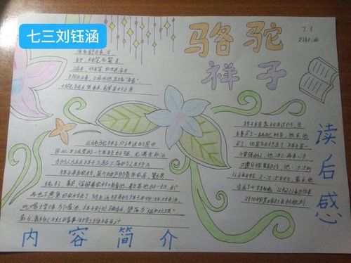 a4纸骆驼祥子高清手抄报 骆驼祥子手抄报