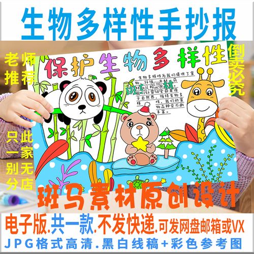 生物知识有关的手抄报 安全知识的手抄报