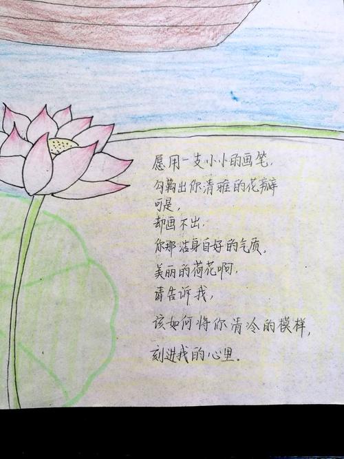 莲韵幽芳绘画手抄报 手抄报版面设计图