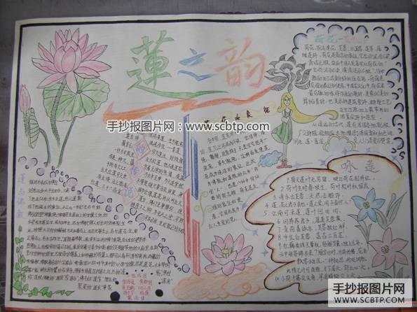 莲韵幽芳绘画手抄报 手抄报版面设计图