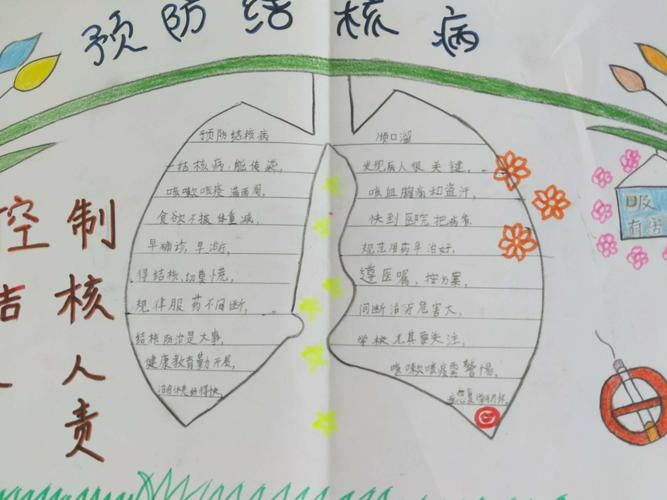 结核病防控健康教育手抄报 健康教育手抄报