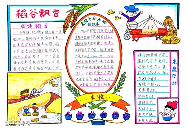 稻田共养双丰收手抄报 手抄报图片大全集