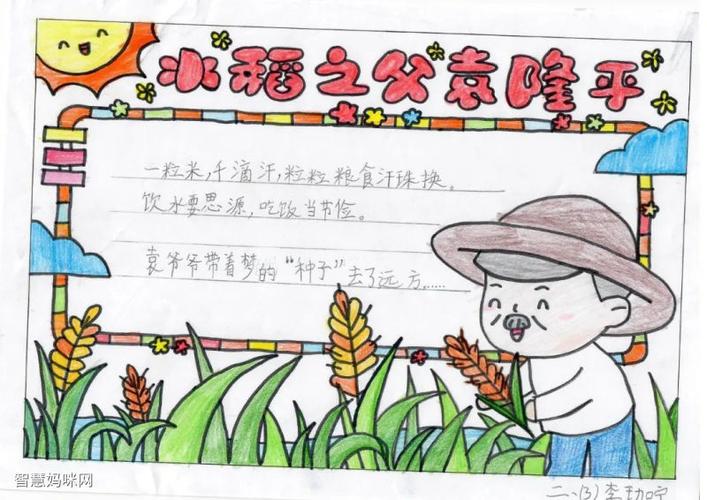 稻田共养双丰收手抄报 手抄报图片大全集