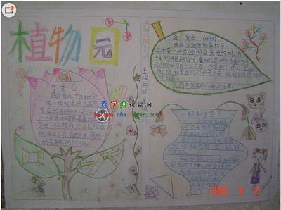 适合画植物主题手抄报 植物园手抄报