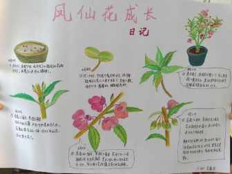 适合画植物主题手抄报 植物园手抄报