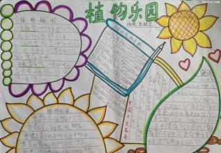 适合画植物主题手抄报 植物园手抄报