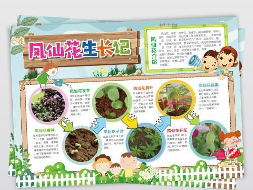 适合画植物主题手抄报 植物园手抄报