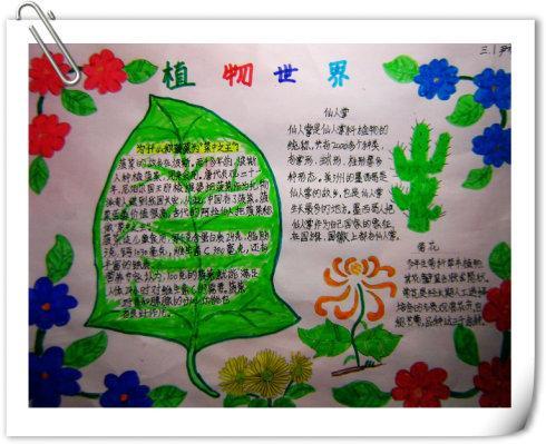 适合画植物主题手抄报 植物园手抄报