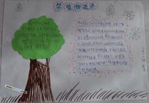适合画植物主题手抄报 植物园手抄报