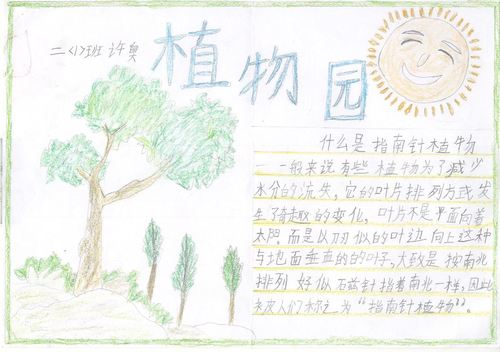 适合画植物主题手抄报 植物园手抄报