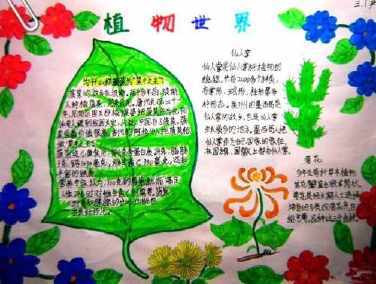 适合画植物主题手抄报 植物园手抄报