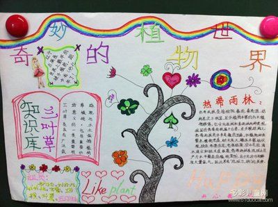 适合画植物主题手抄报 植物园手抄报