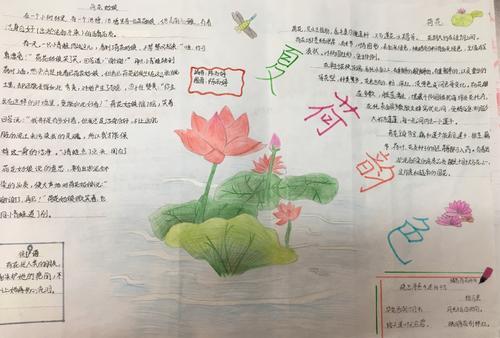 适合画植物主题手抄报 植物园手抄报