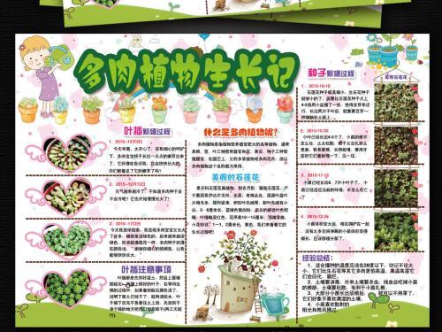 适合画植物主题手抄报 植物园手抄报