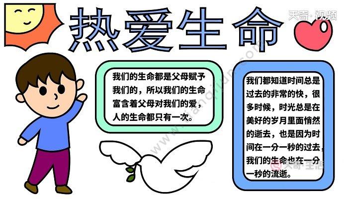 点亮生命之光的手抄报 热爱生命的手抄报