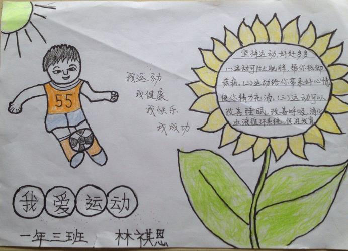 体育小学生小学生手抄报 小学生体育手抄报