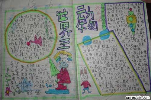 全国优秀一等奖手抄报 全国一等奖手抄报