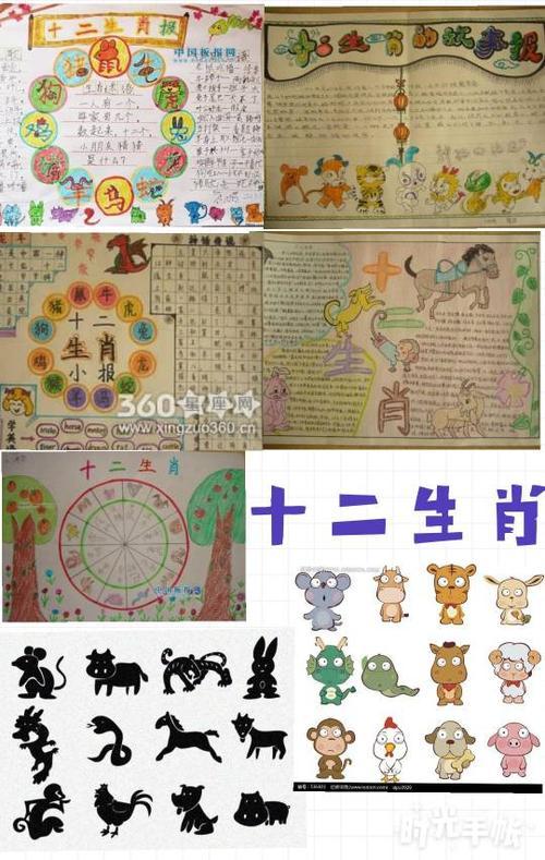 十二生肖蛇的手抄报 手抄报图片大全集