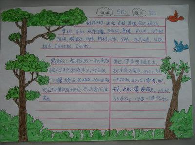 有四幅图的动植物手抄报 植物园手抄报