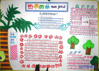 有四幅图的动植物手抄报 植物园手抄报