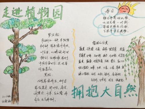 有四幅图的动植物手抄报 植物园手抄报