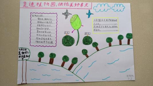 有四幅图的动植物手抄报 植物园手抄报
