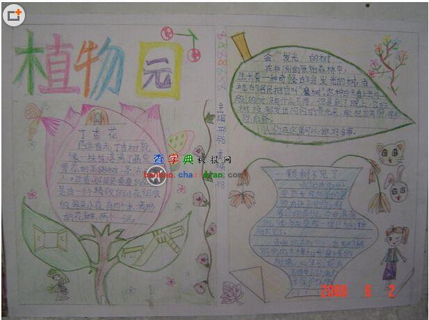 有四幅图的动植物手抄报 植物园手抄报