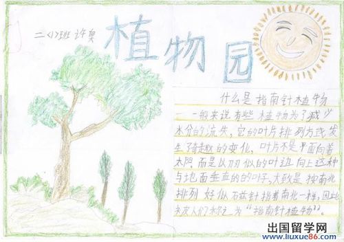有四幅图的动植物手抄报 植物园手抄报