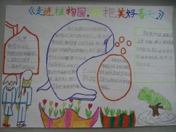 有四幅图的动植物手抄报 植物园手抄报