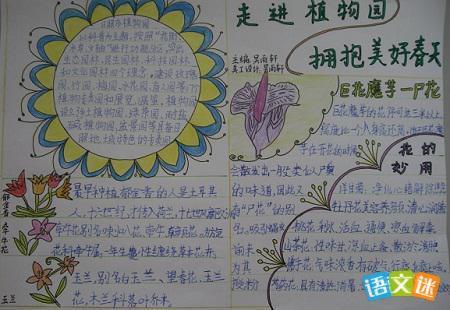 有四幅图的动植物手抄报 植物园手抄报