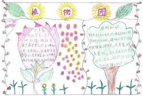 有四幅图的动植物手抄报 植物园手抄报