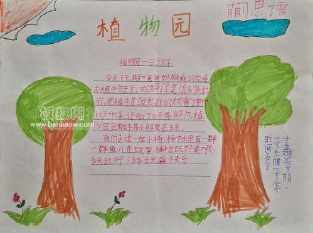 有四幅图的动植物手抄报 植物园手抄报