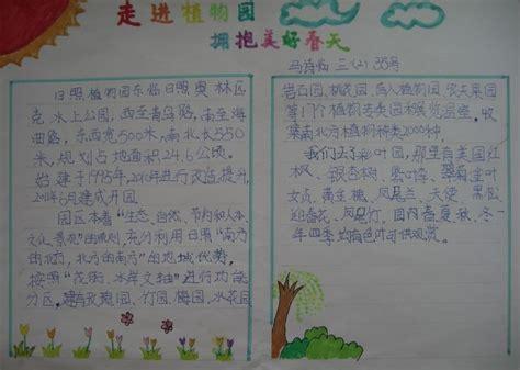 有四幅图的动植物手抄报 植物园手抄报